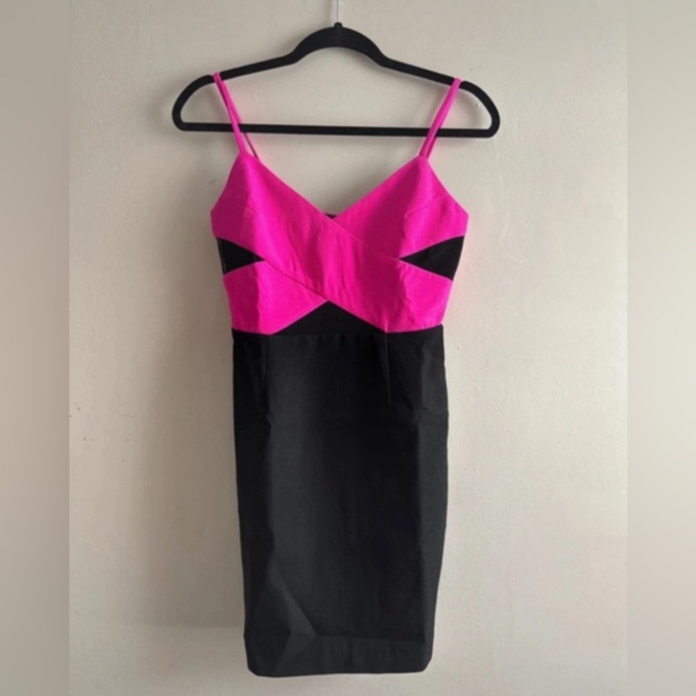 Lucy Paris Pink and Black Mini Dress